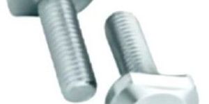 Stainless Steel Tee Bolts
