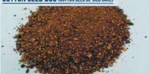 De Oiled Cotton Seed Cake