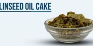 Linseed Cake