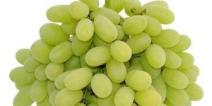 Seedless Green Grapes