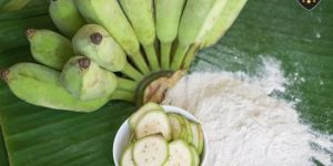 Dehydrated Green Banana Powder