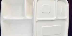 Sugarcane Bagasse Biodegradable Meal Tray