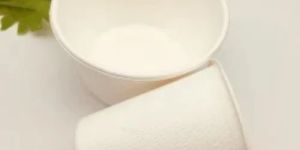 Sugarcane Bagasse Cup