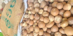 Betel Nut Supari Chali