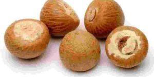 Brown Whole Betel Nuts