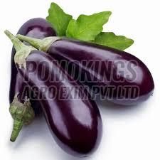 a Grade Fresh Brinjal