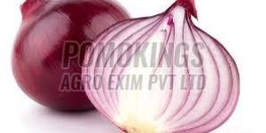 a Grade Red Onion
