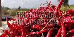 Teja S17 Dried Red Chilli