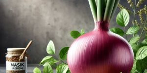 Fresh Nashik Red Onion