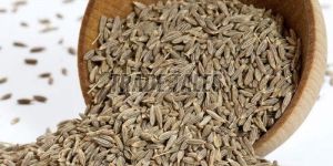 Cumin Seeds