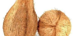 Organic Semi Husked Coconut