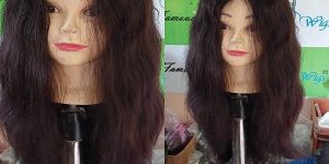 Human Hair Wigs