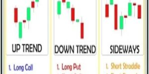 Options Strategies Service