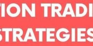 Stock Option Trading Signals Service