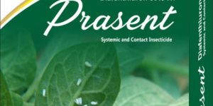 Prasent Systemic and Contact Insecticide