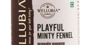 Playful Minty Fennel Premium Mouth Freshener
