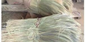 Green Natural Broom Grass