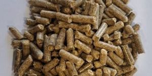 6 Mm Mustard Husk Biomass Pellet