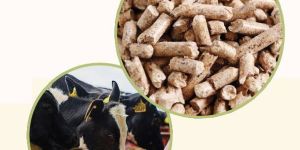 Max-Fi Enriched Mixed Cattle Feed Pellet