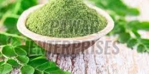 Natural Moringa Powder