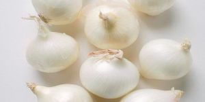 Fresh White Onion