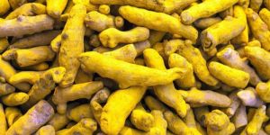 Chintapalli Turmeric Finger