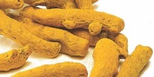 Erode Turmeric Finger