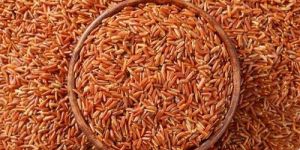 India Red Cargo Rice