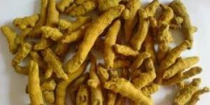 Lakadong Turmeric Finger