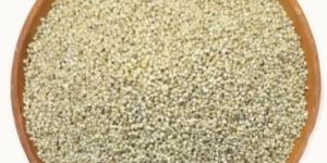 Organic Barnyard Millet