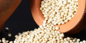 Sorghum Millet