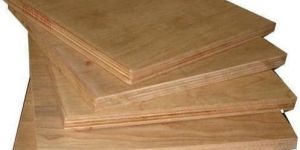 Borer Proof Plywood