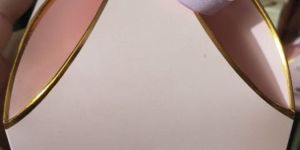 Saarang Organic Gulal