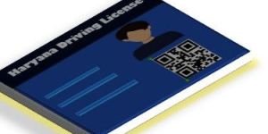 Renewable of Driving License Service