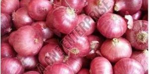 Nashik Pink Onion