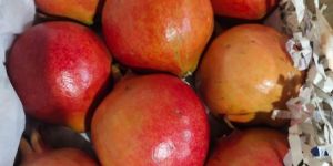 Fresh Pomegranate