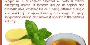 Ginger Oil