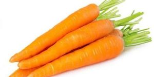 Fresh Orange Carrot