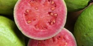 Fresh Pink Guava