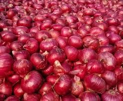 a Grade Red Onion
