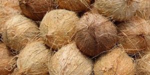 Raw Coconut
