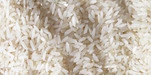 Non Basmati Rice