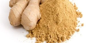 Ginger Powder