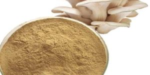 Mushroom Powder