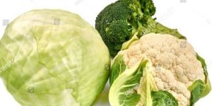 Cabbage Cauliflower