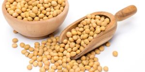 Soya Bean