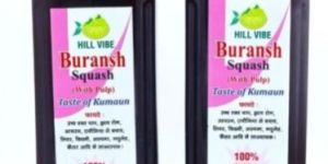Buransh Squash