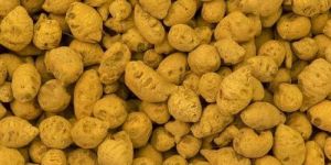 Natural Turmeric Bulb