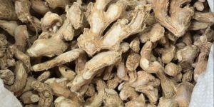 Organic Dry Ginger