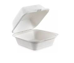 Sugarcane Take out Container
